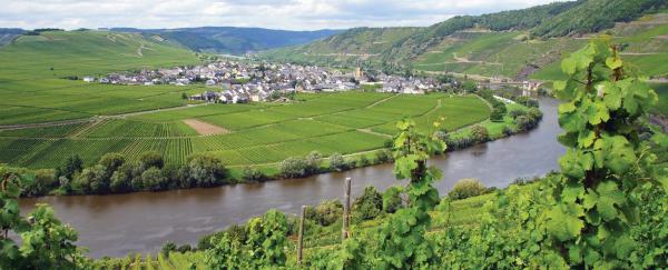 Flusskreuzfahrt mit Hund 2020 7 Tage Mosel MSPoseidon